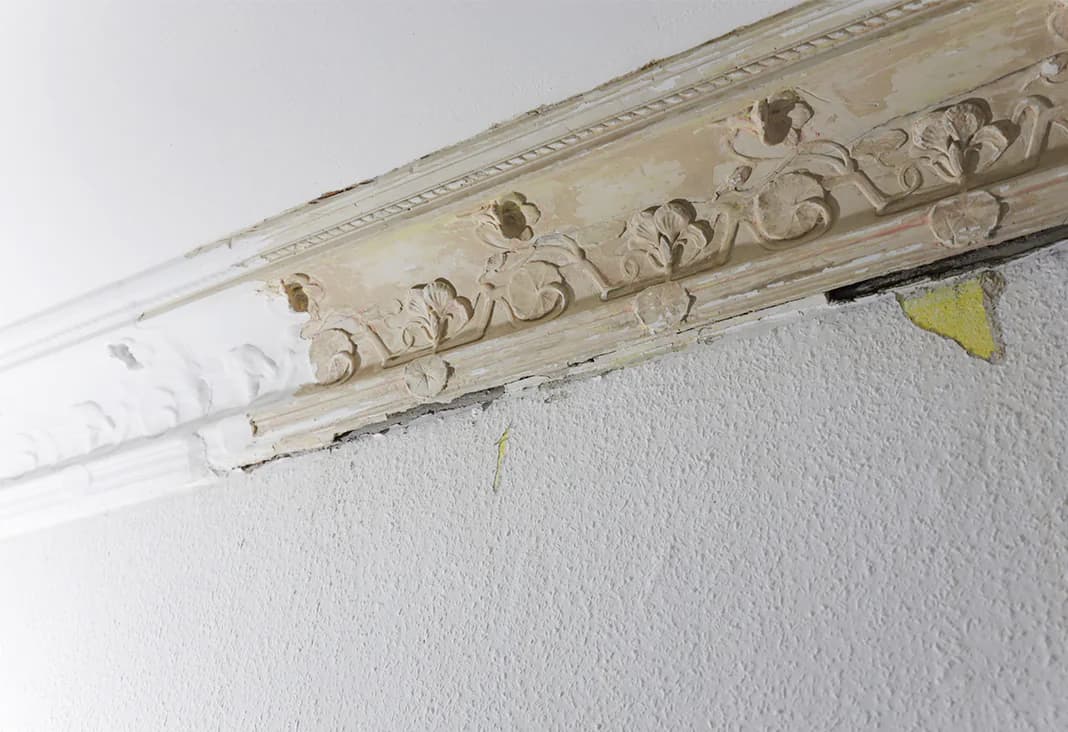 Stuckfreilegung, Stuckrestaurierung, Stuckgestaltung.